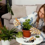 Better Homes and Gardens